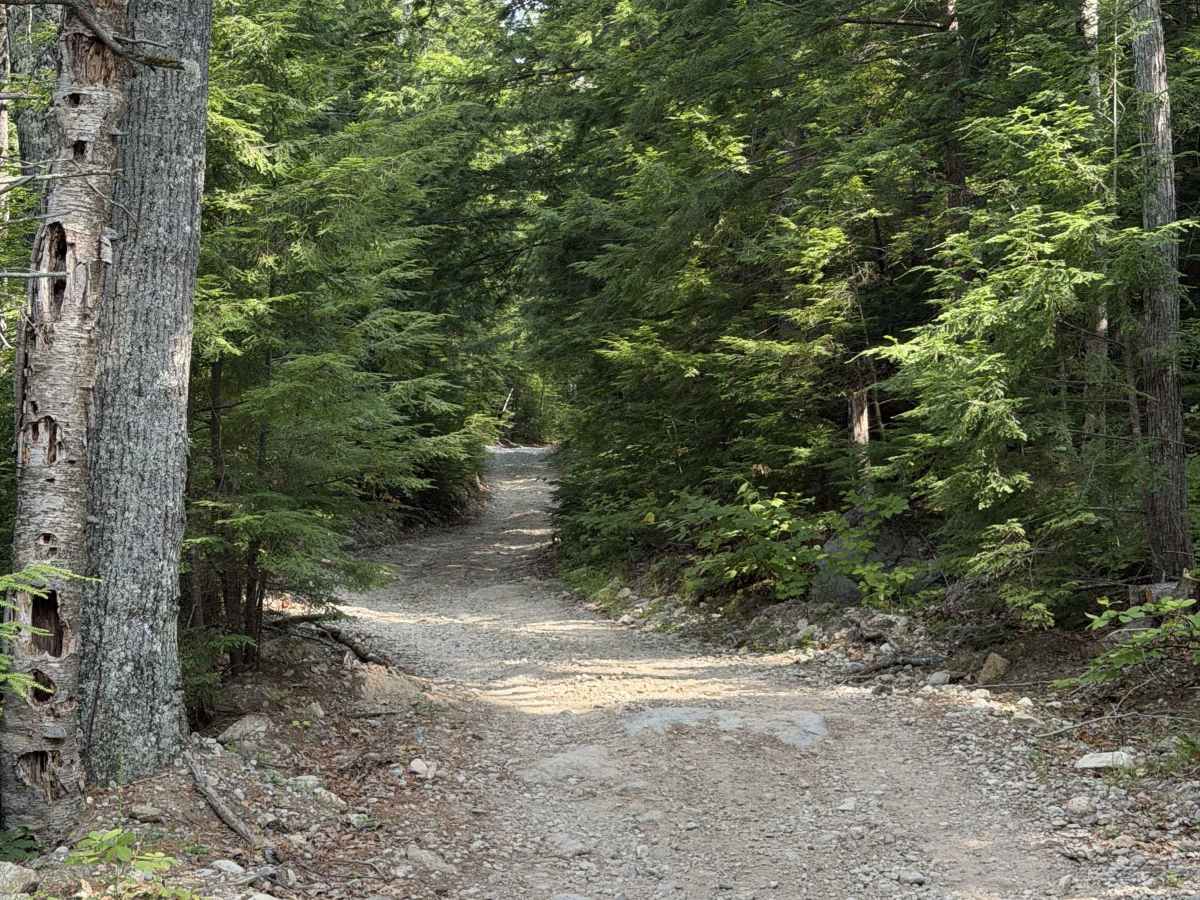 Mink Hill Road photo 4