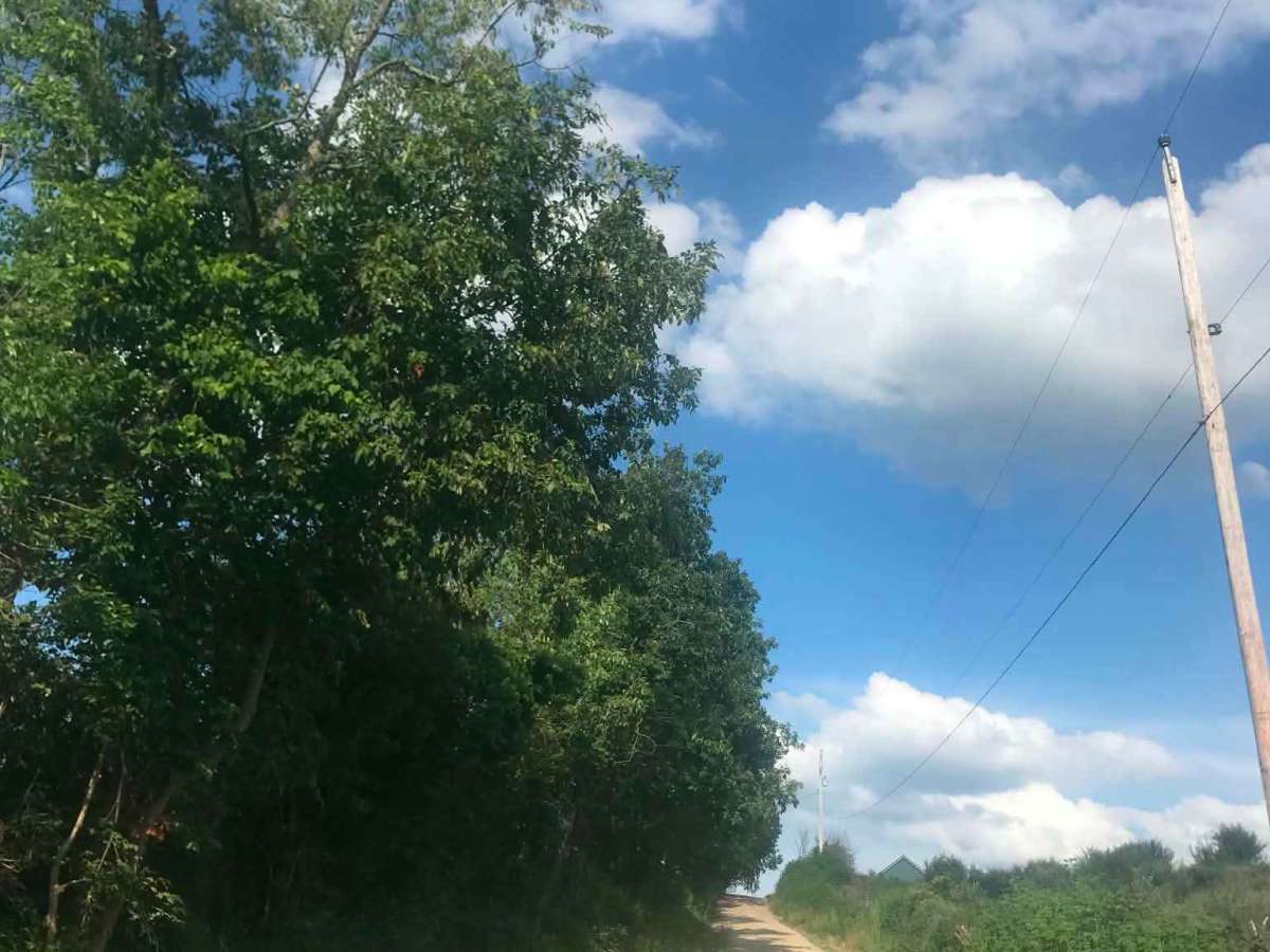 Town Highway 162 photo 4