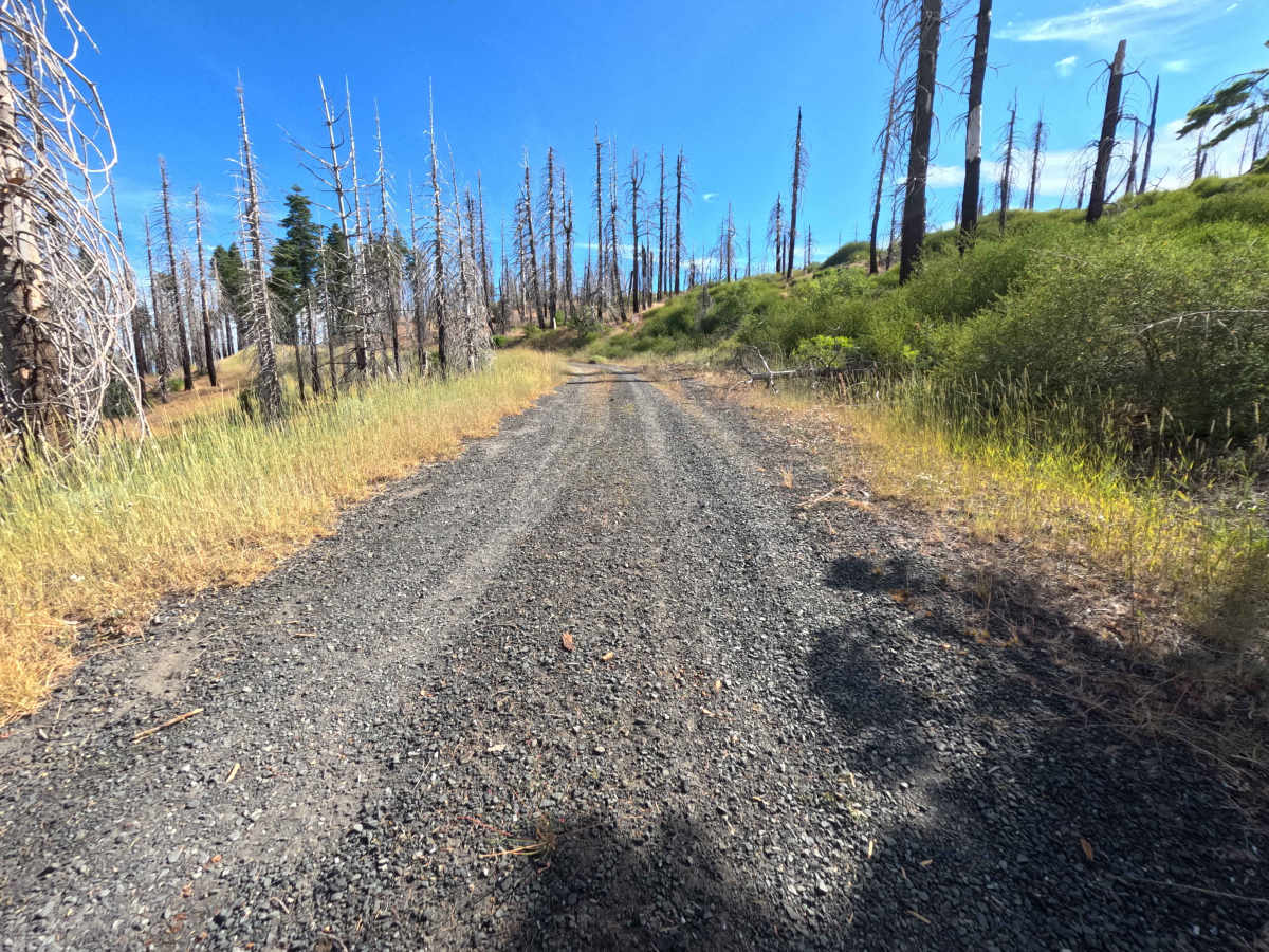 Coyote Rock - FS 20N78 trail photo