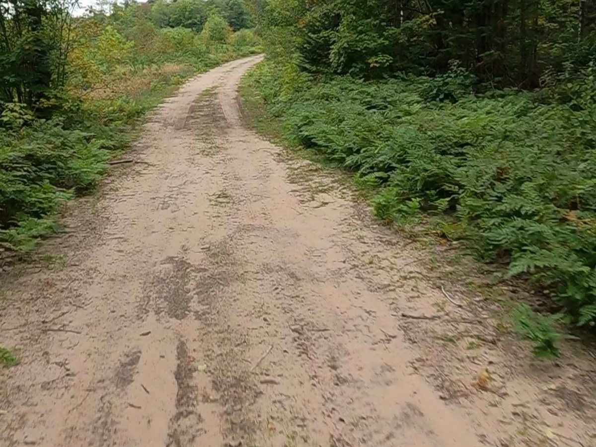 Haverstock Creek Road trail photo
