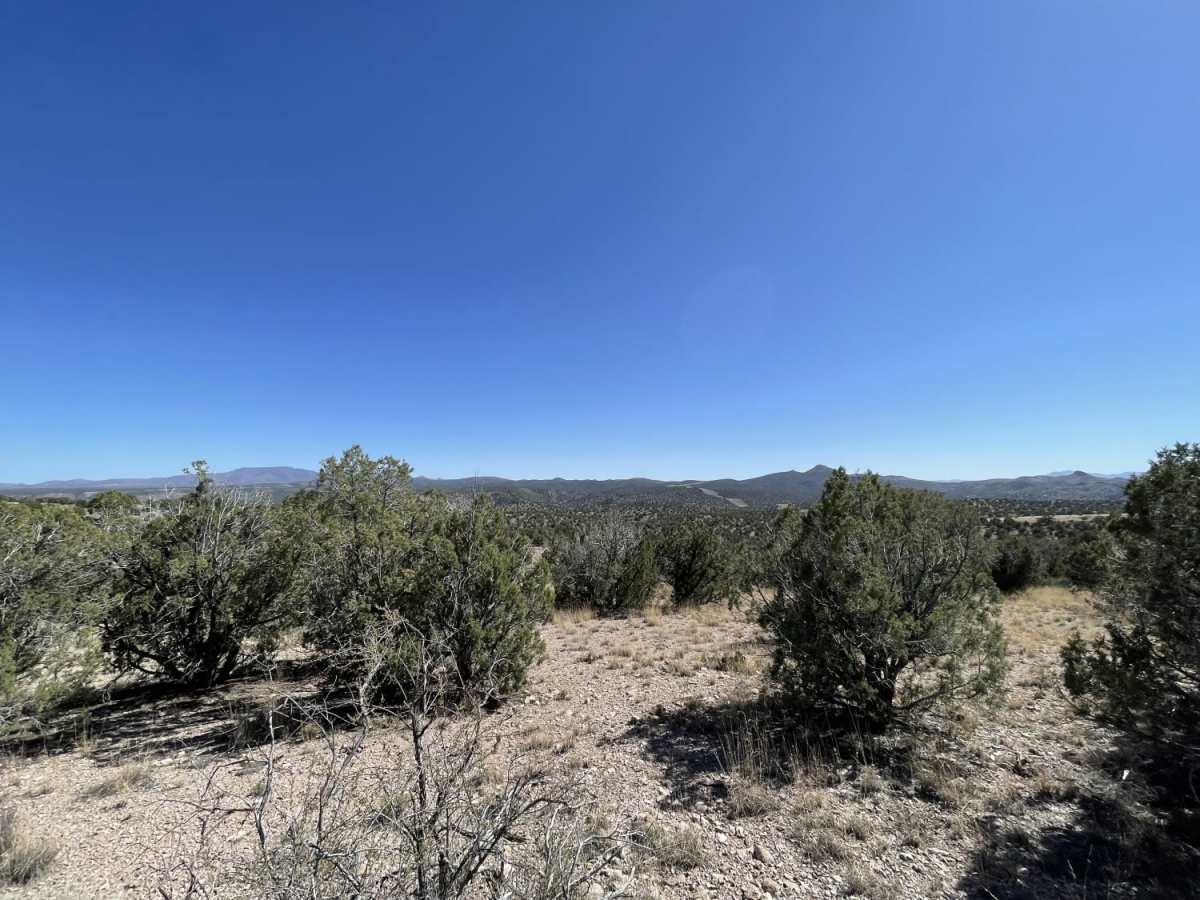 Easy Ridge, Hard Canyon trail photo