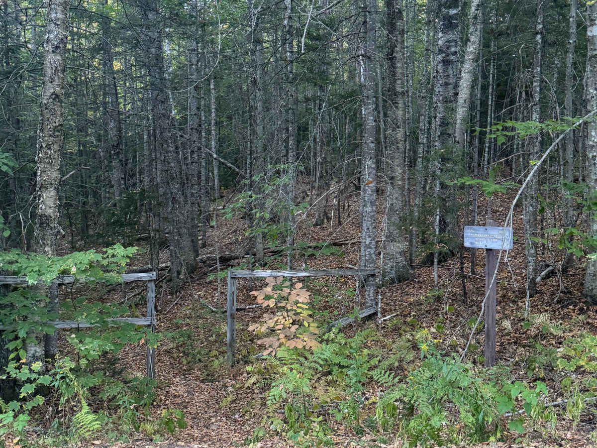 Hubbard Brook Road  photo 6