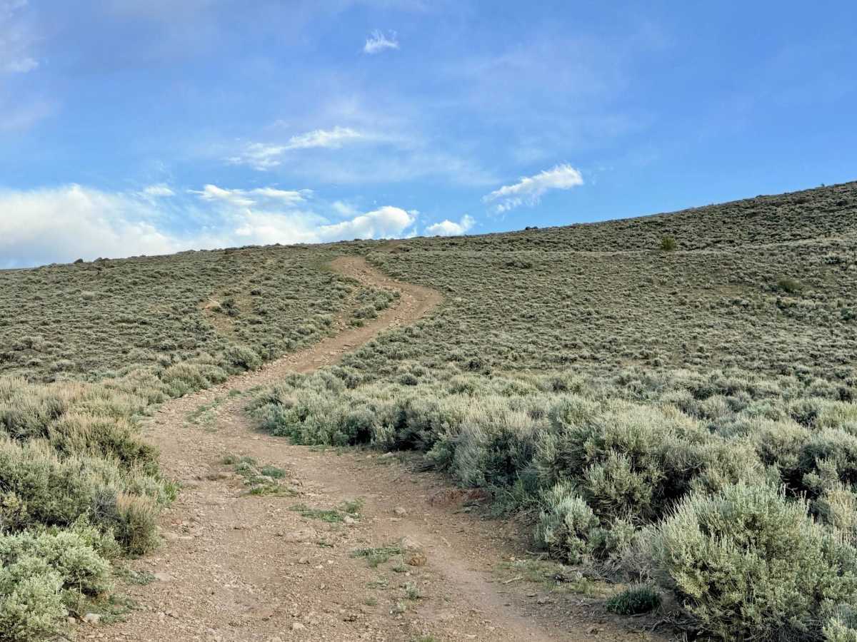 Butler Basin - FS 43375 trail photo
