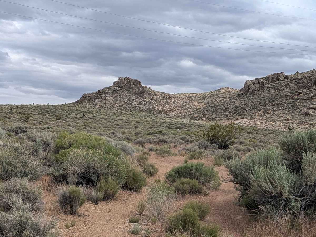 BLM SE741a photo 6