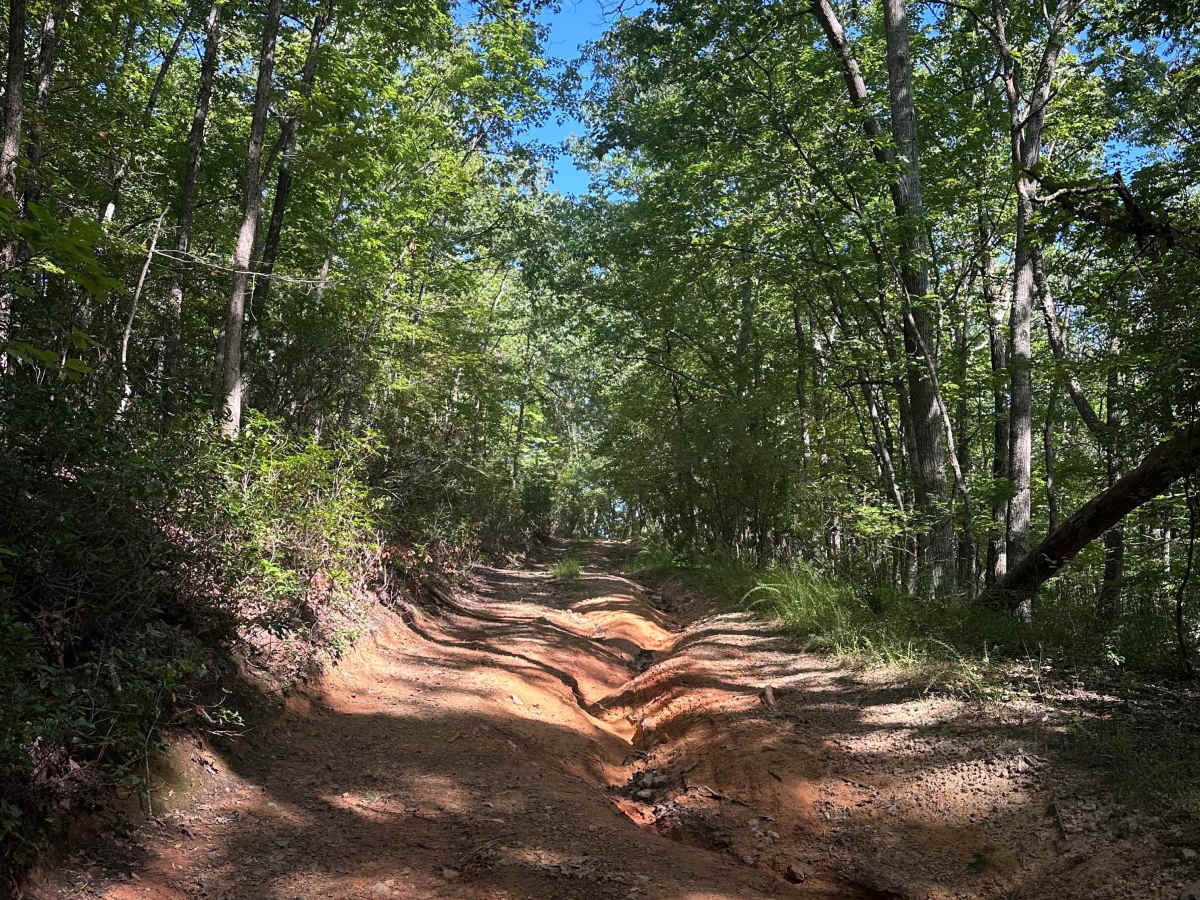 Wide Draft trail photo