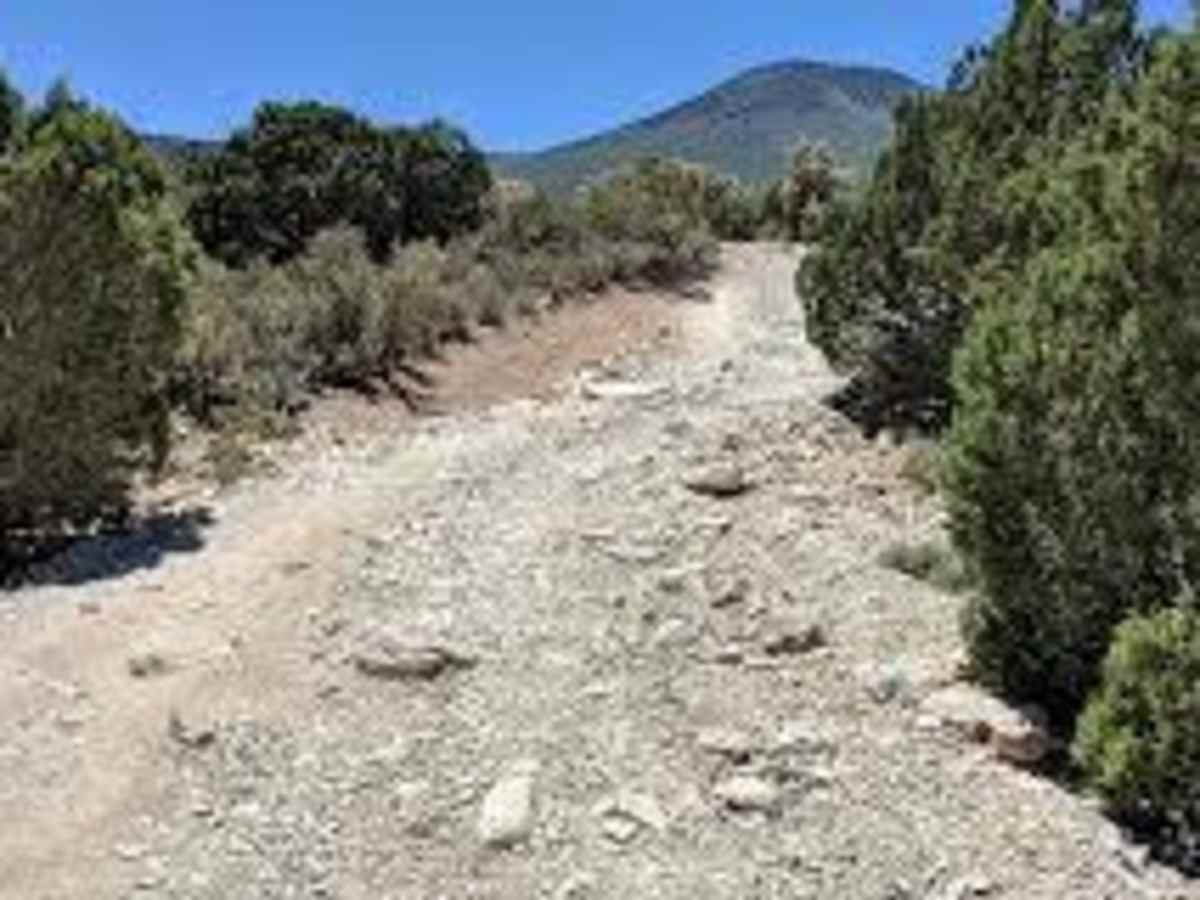 Wheeler Pass trail photo