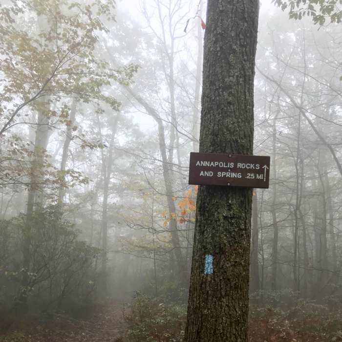 Near Annapolis Rock on the Appalachian Trail
