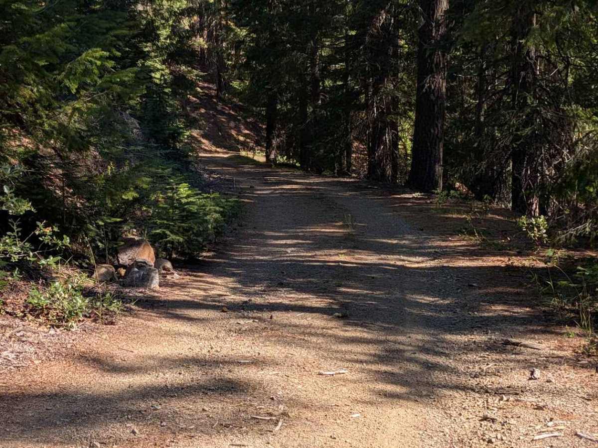 Eagle Rock Road - FS 4N11 photo 4