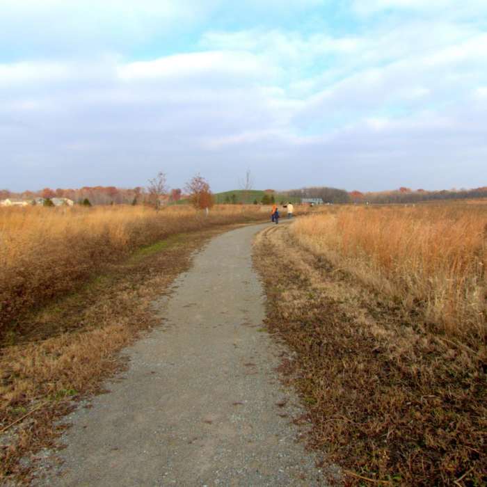 Near Flat Fork Creek Park Nature Trail Near Flat Fork Creek Park Nature Trail