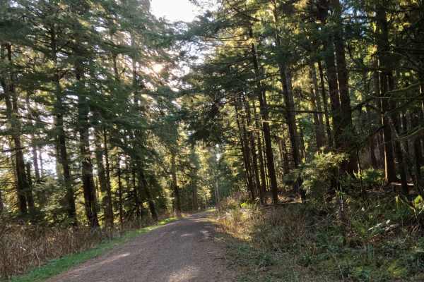 Farmer Creek 