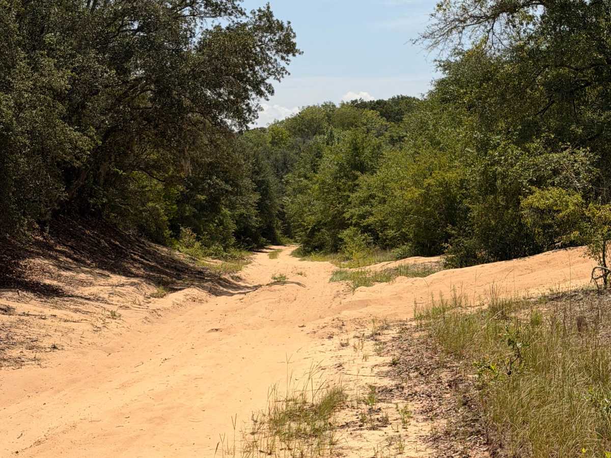 Buck Island Boat Ramp Trail photo 4