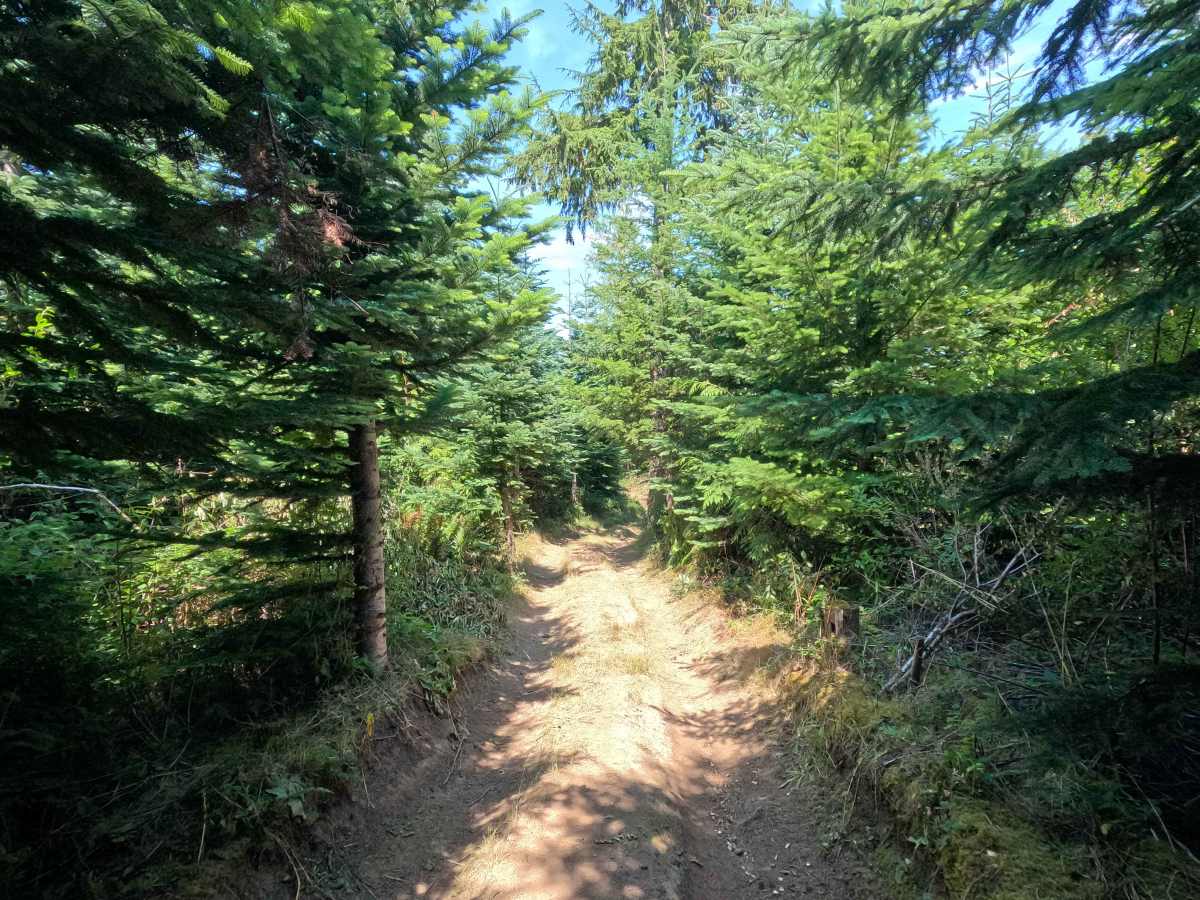 Outer Limits trail photo