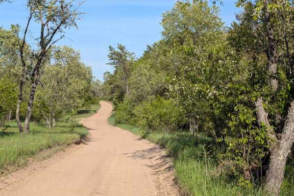 Trail 4655