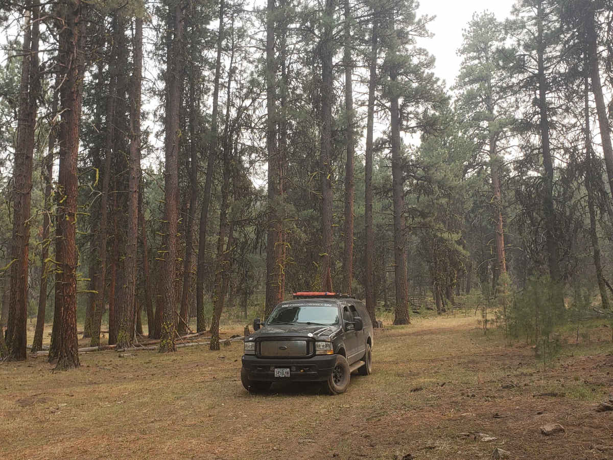 37 Spring Trail photo 2