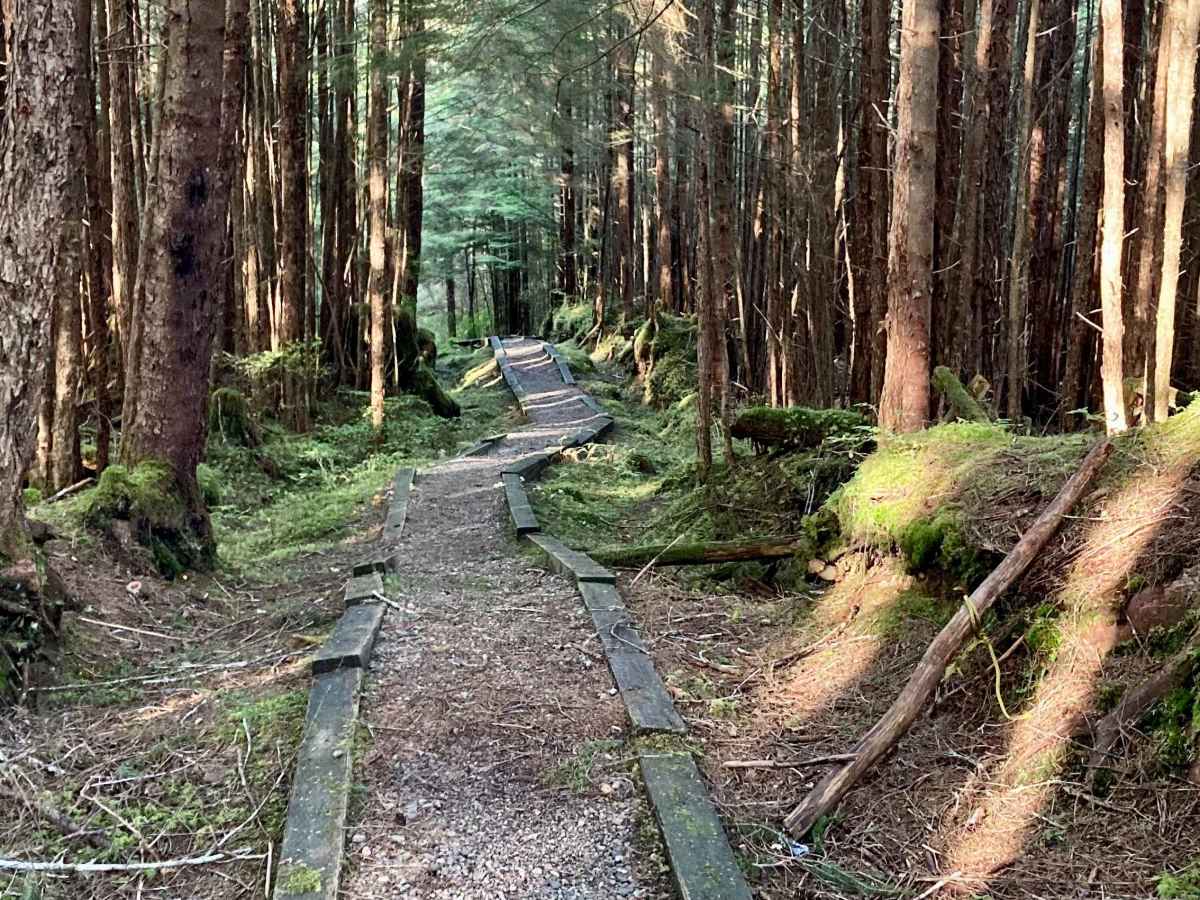 Staney Creek Campground Road - FS 2054300 photo 3