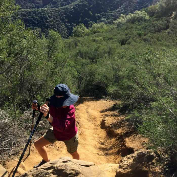 Near Stebbins Cold Canyon Loop