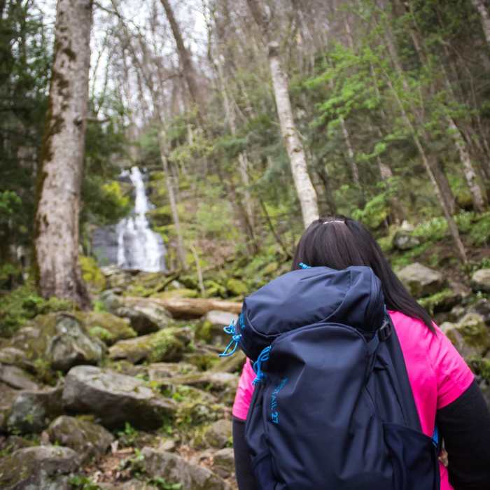Near Porters Creek Trail to Fern Branch Falls Near Porters Creek Trail to Fern Branch Falls