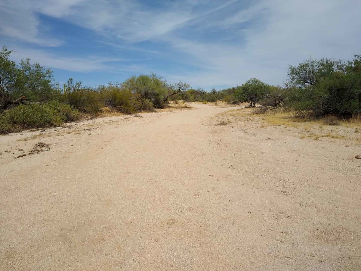 Robinson Loop trail photo