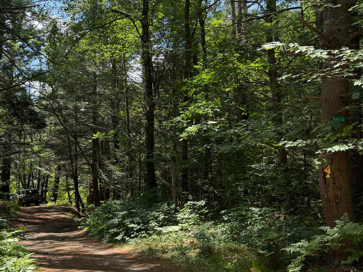Tracy Lane trail photo