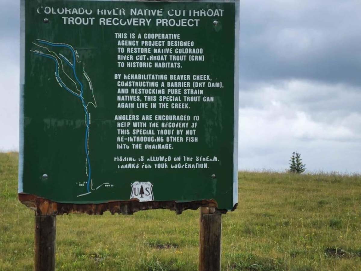 Steers Gulch Road photo 4
