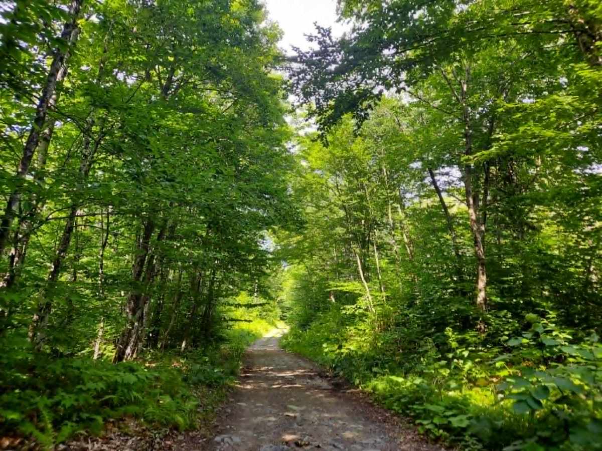 MMC Outdoors Extension trail photo