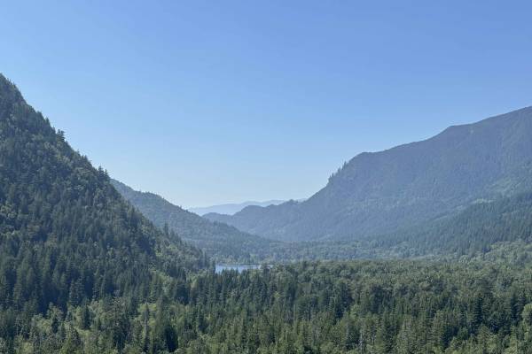 Deer Lake Viewpoint