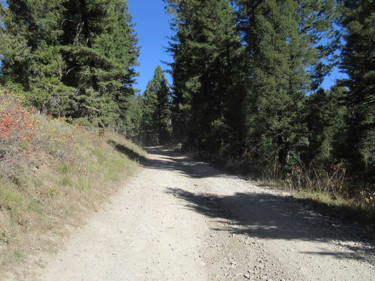Keg Springs (Forest Service 046) photo 2