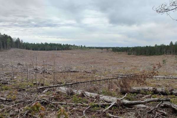 Pine Ridge Trail North