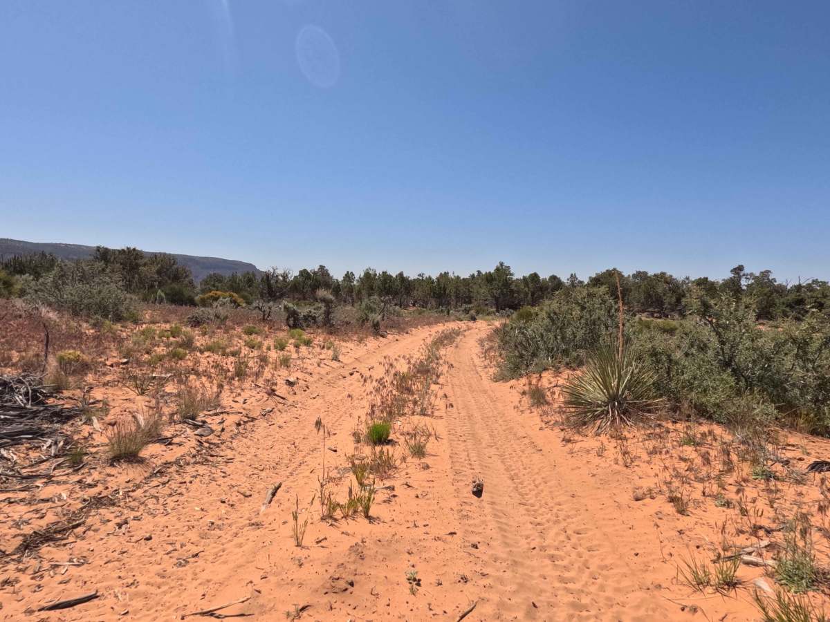 BLM 33B photo 2