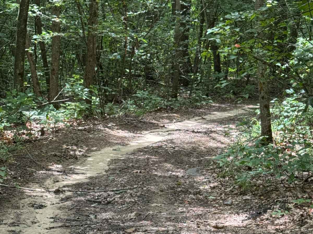 Trail 36 photo 3