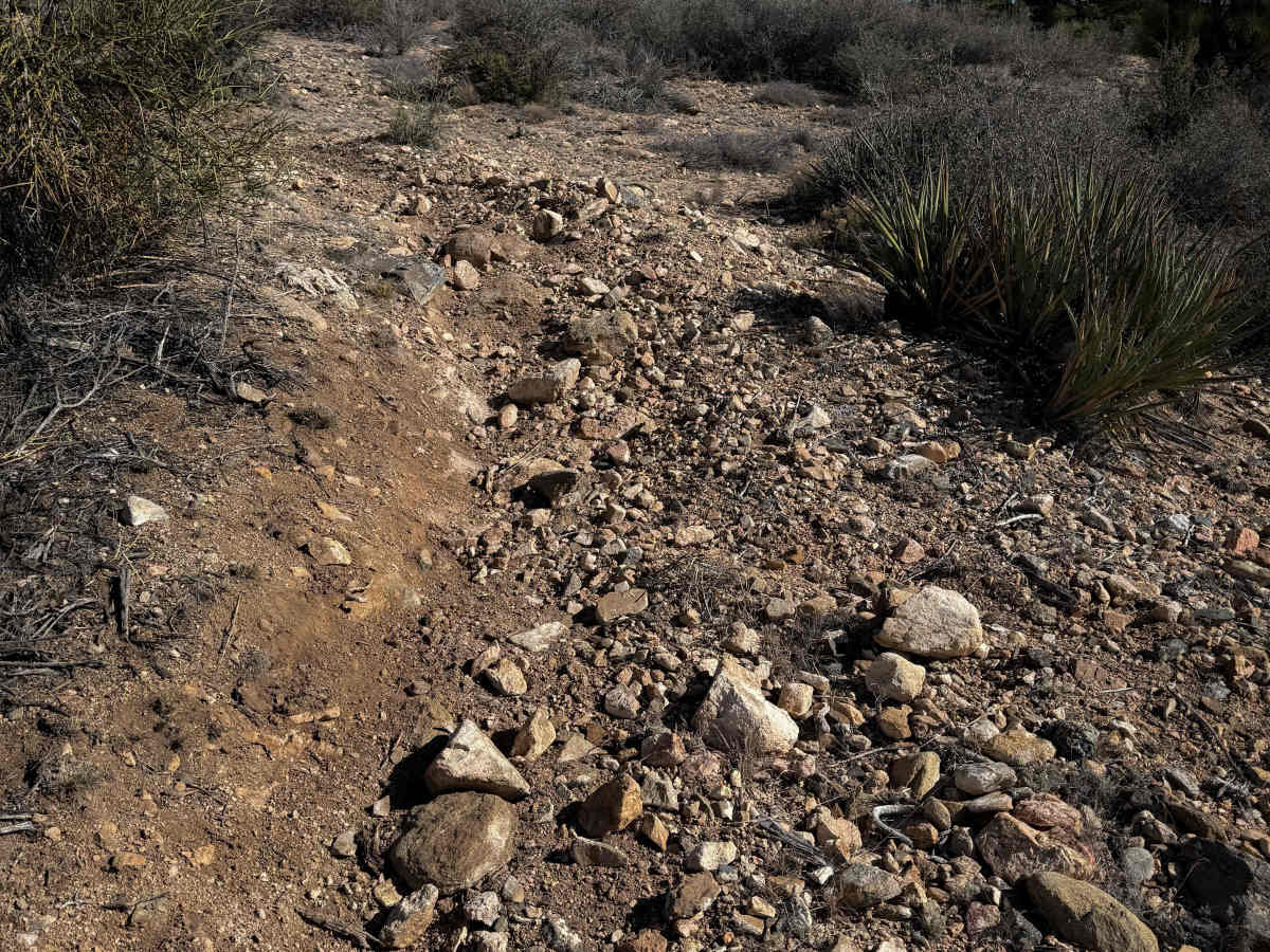 Hualapai Singletrack photo 3