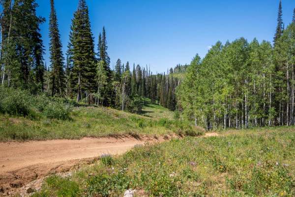 Hoyt Saddle Trail