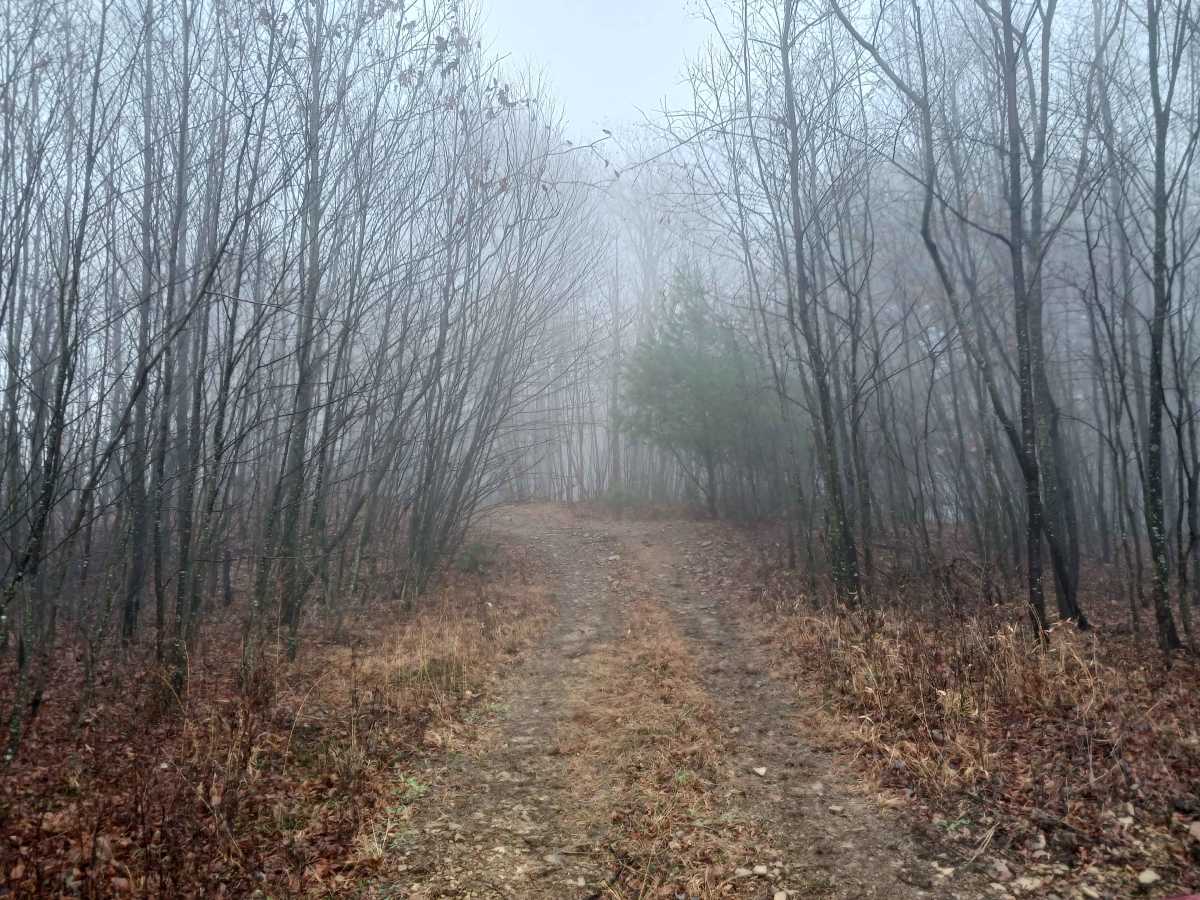 OHV 16 - Rock Run Recreation Area trail photo
