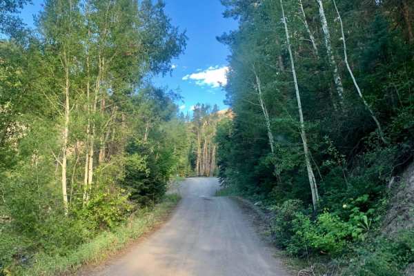 Cty Rd 14. - Dexter Creek Rd