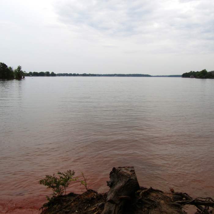 Lake Norman Near Jetton Park Loop