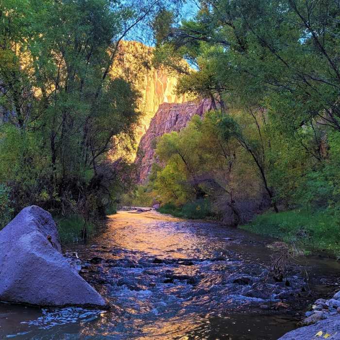 Near Aravaipa Creek