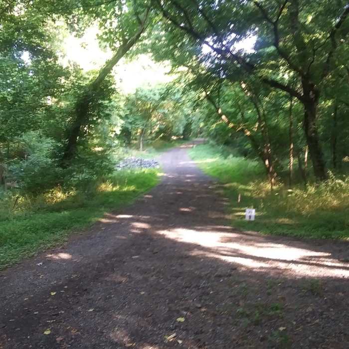 Near Crooked Stick Trail