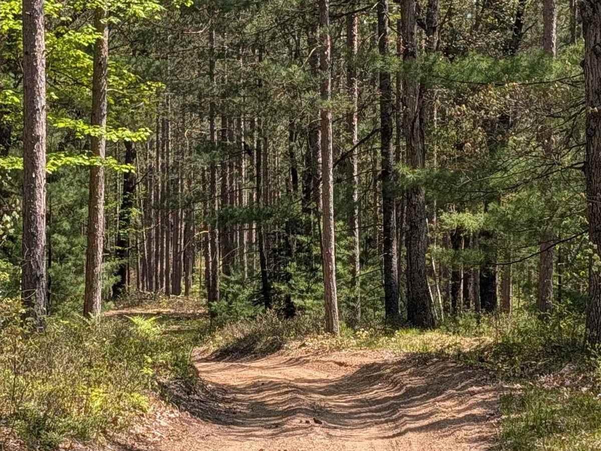 Emerson Trail photo 4