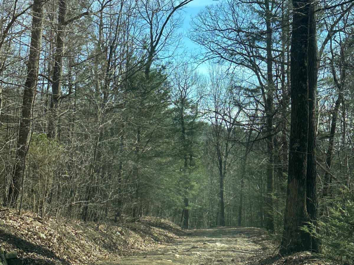 Biesecker Gap photo 2