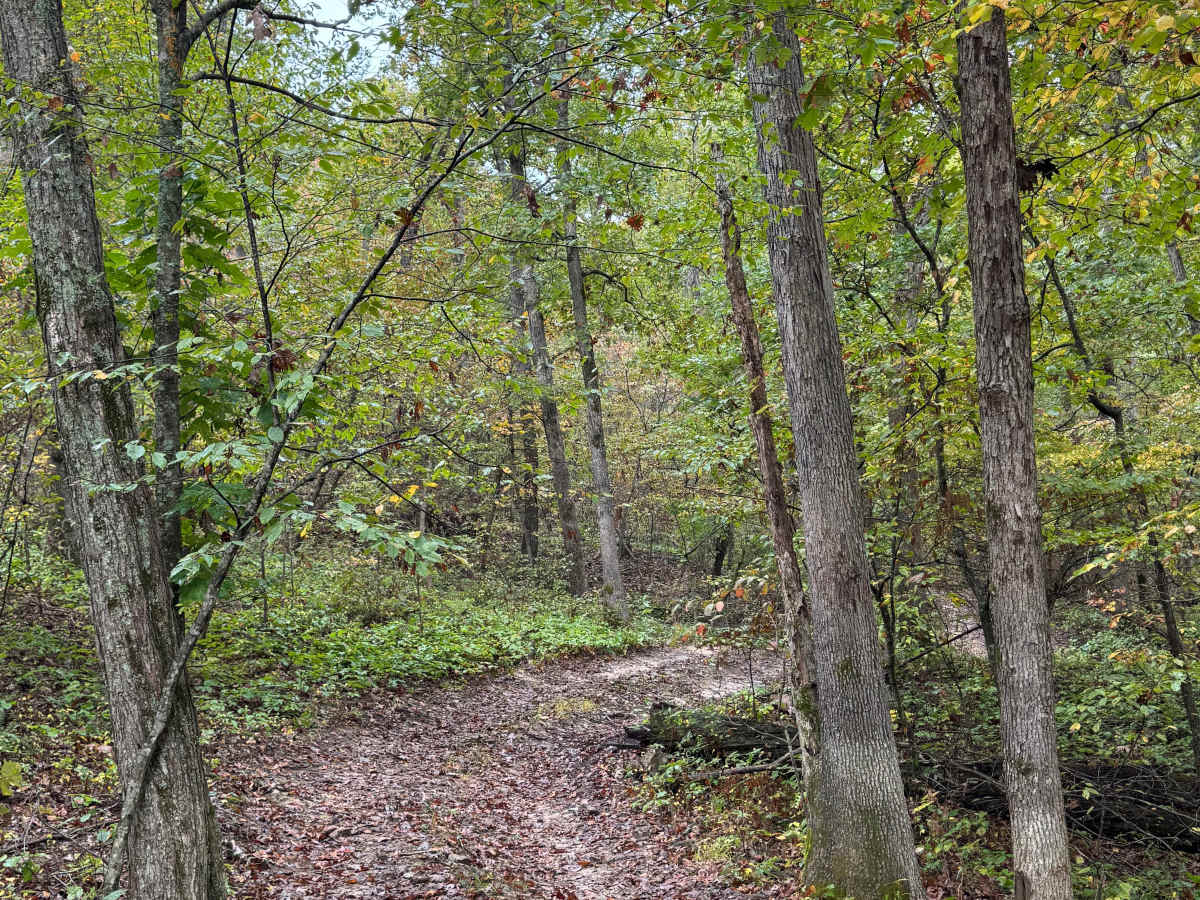 Bailout trail photo
