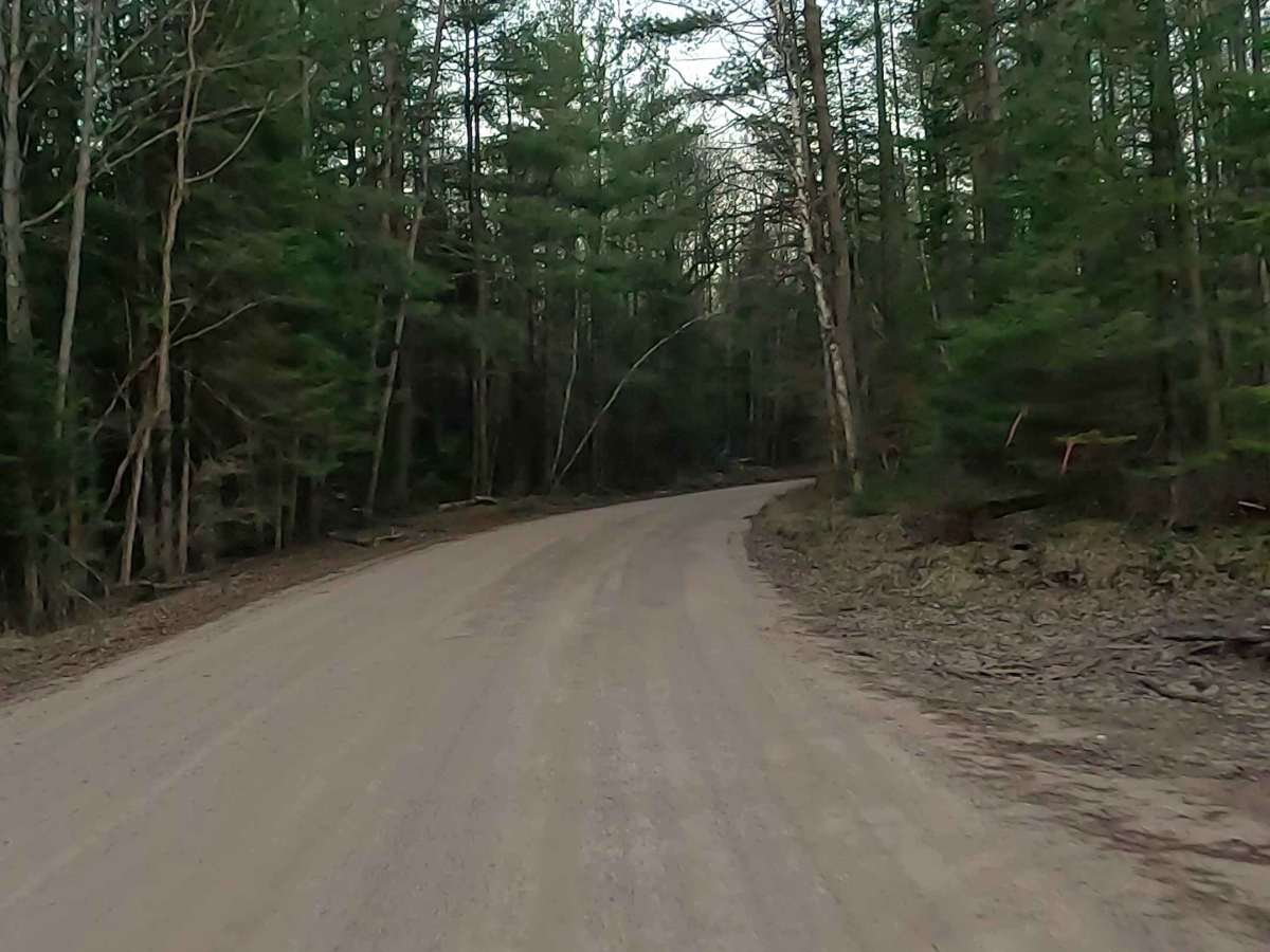  Mack Lake Trail - County HIghway F17 / 489 photo 6