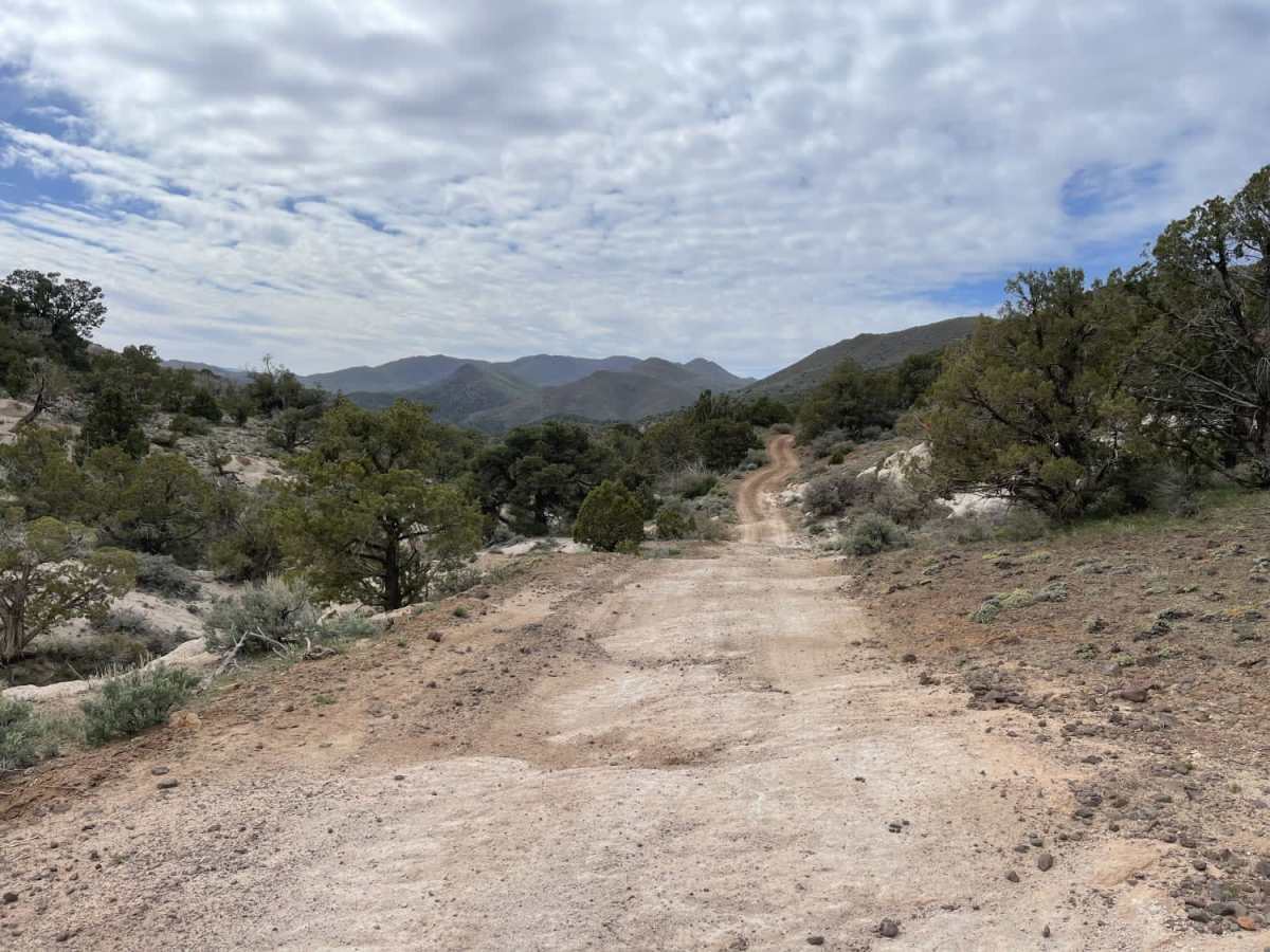 East Fork of Beaver Dam Wash photo 6