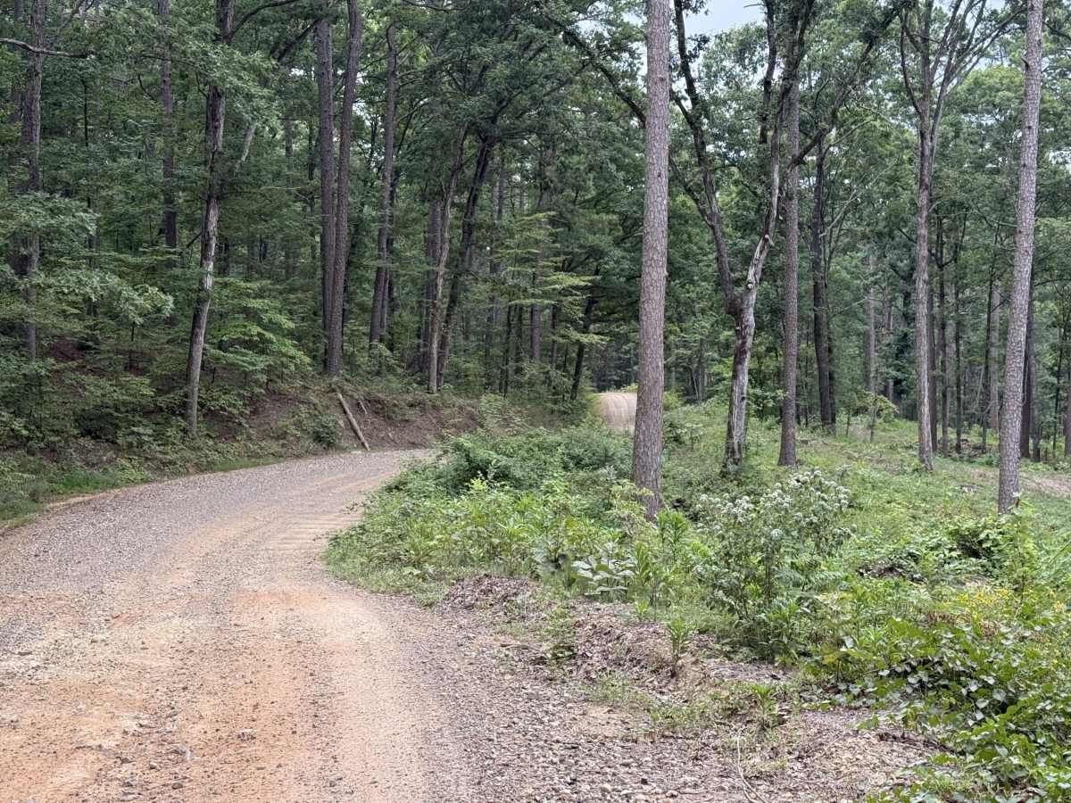 Polk County Road 79 trail photo