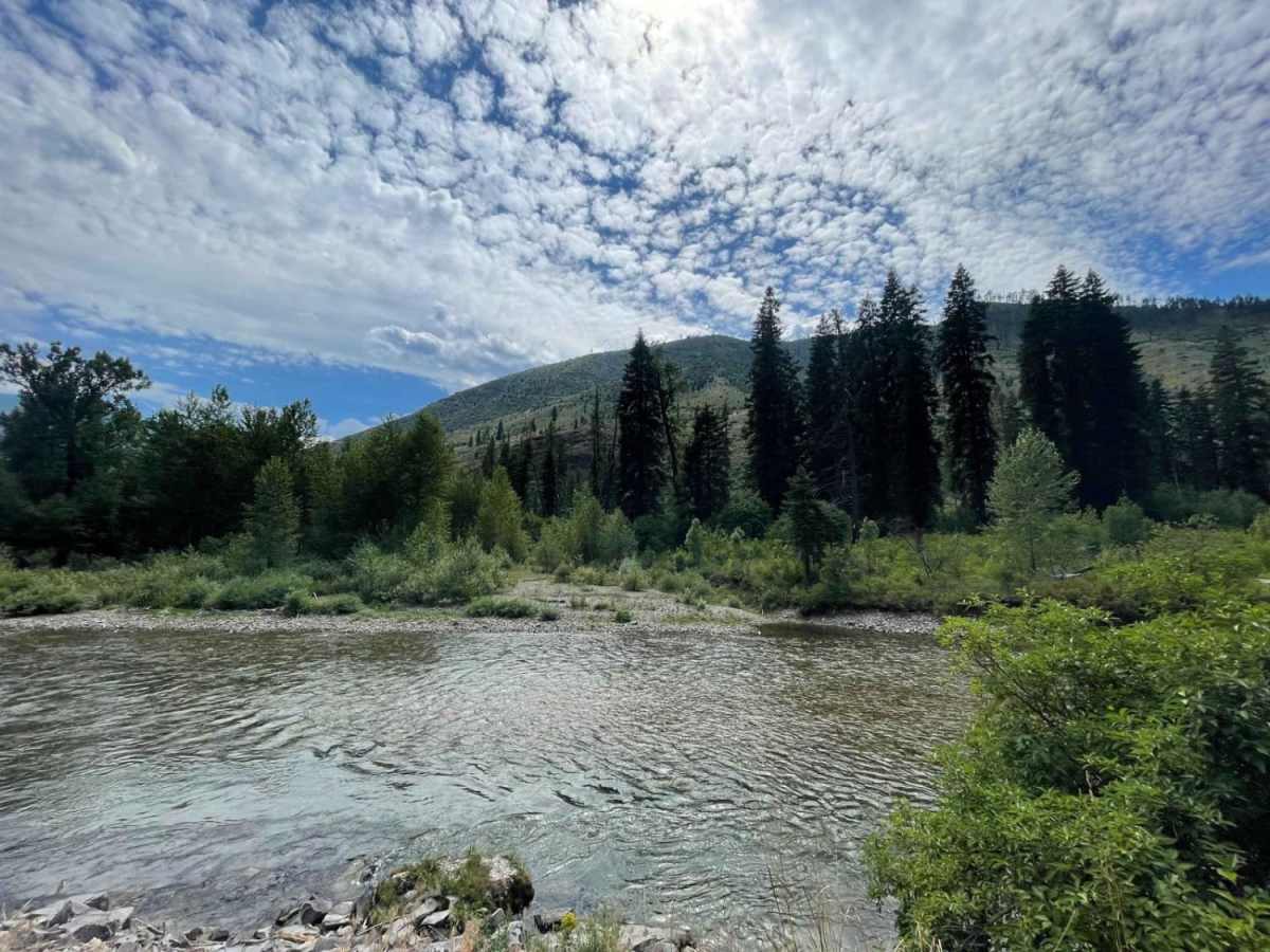 Fish Creek trail photo