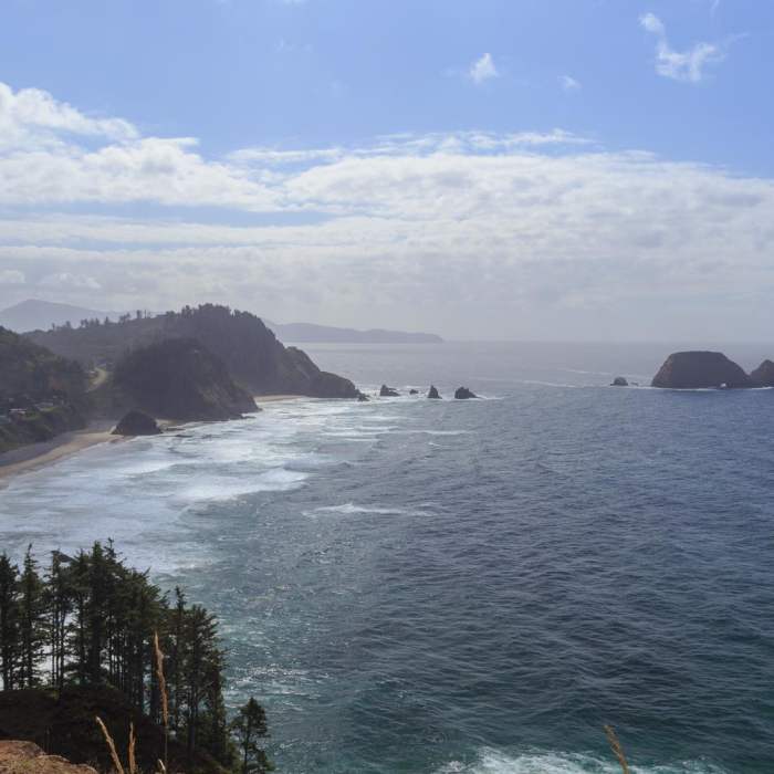 Near Oregon Coast Trail Section 3