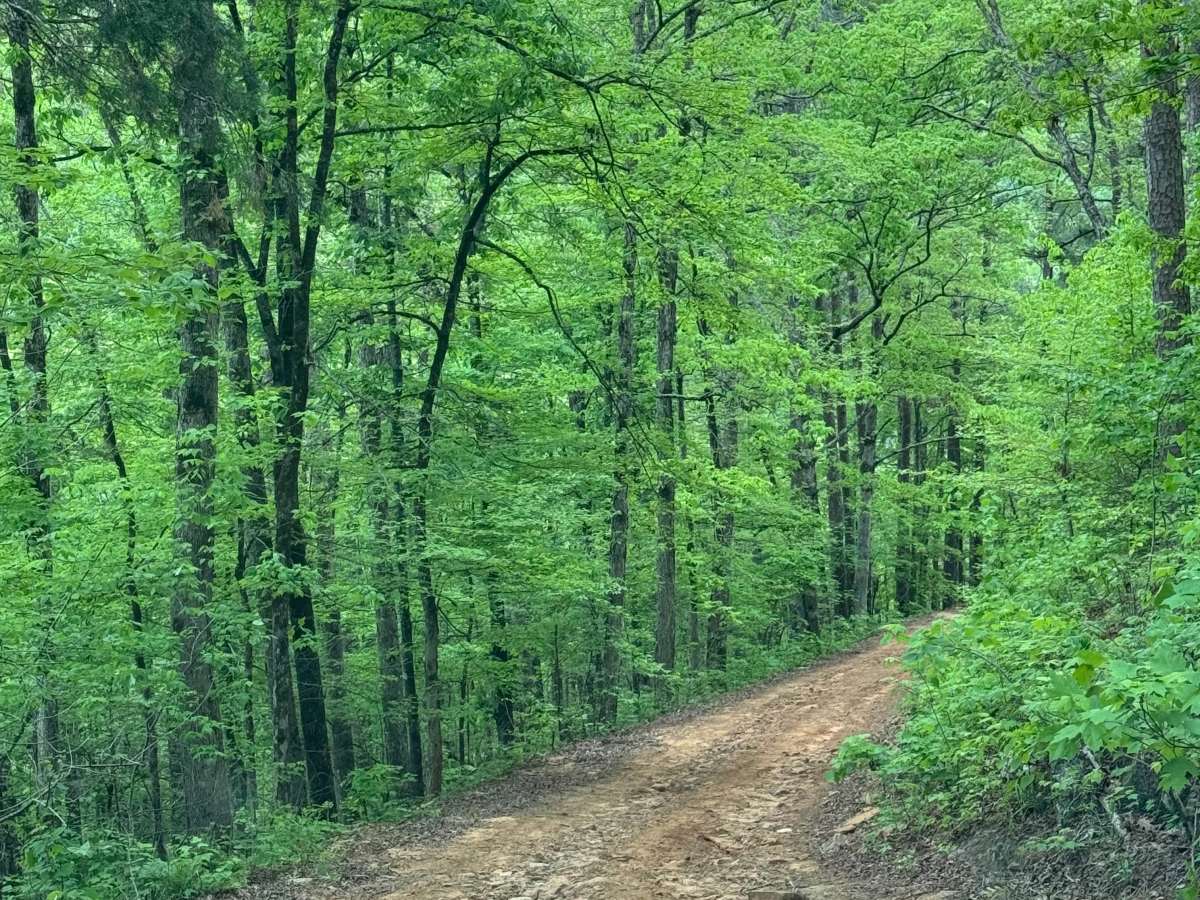 Sulphur Road photo 3