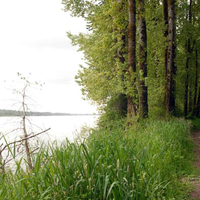 Near Sauvie Island, Warrior Rock Lighthouse Trail