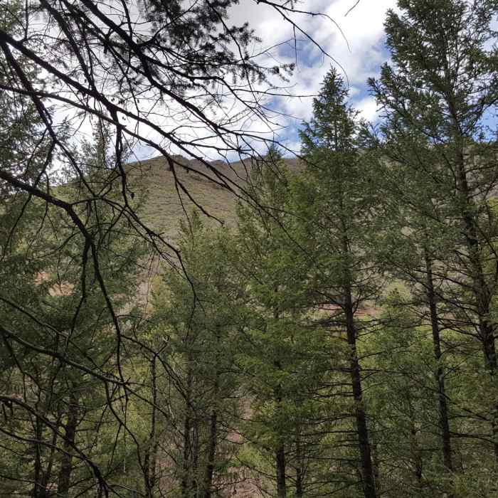 Near Hunter Creek Valley