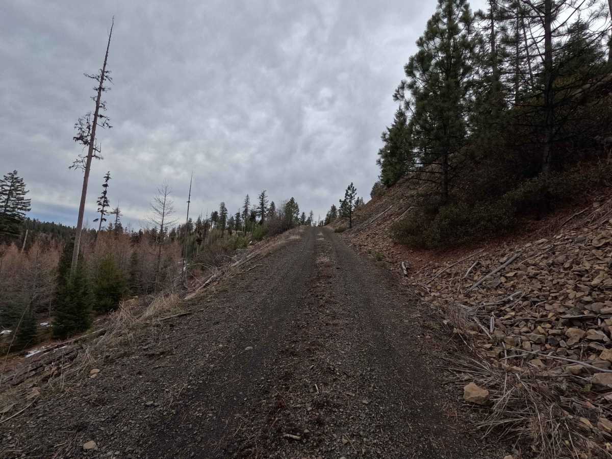 Swale Trail - FS 2107 photo 4