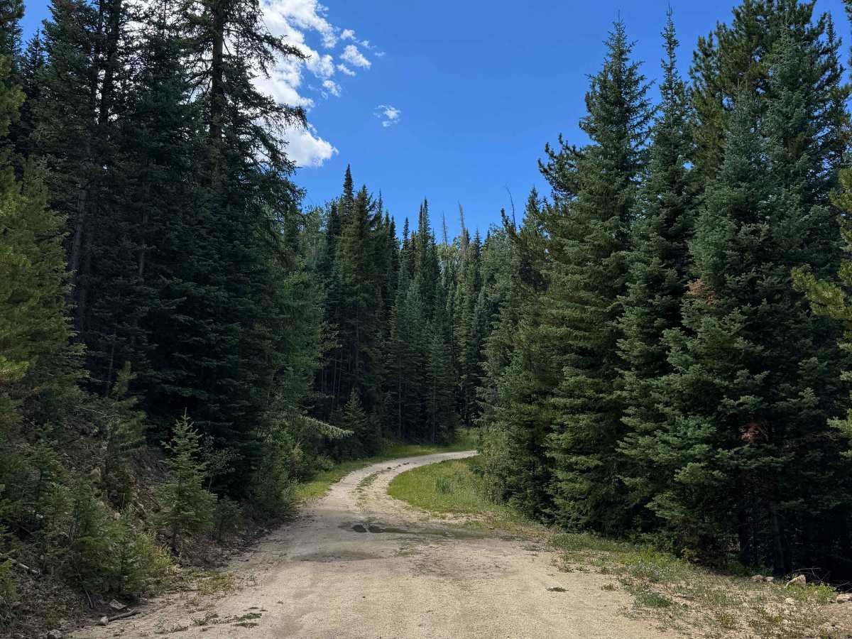 Hump Road photo 4